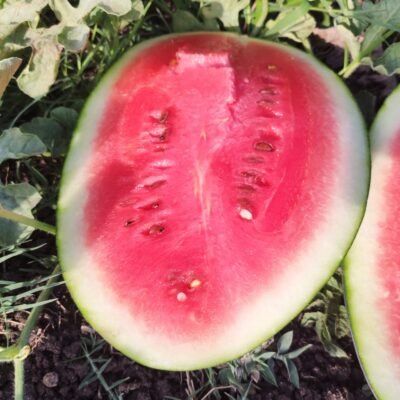 WhatsApp Image 2024-06-11 at 15.26.18_ddb29beb WhatsApp Image 2024-06-11 at 15.26.18_ddb29beb