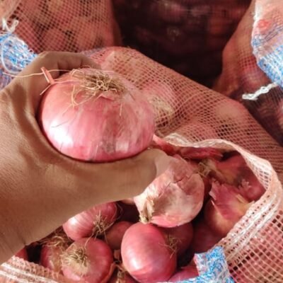 WhatsApp Image 2024-06-11 at 15.27.07_c081359b WhatsApp Image 2024-06-11 at 15.27.07_c081359b