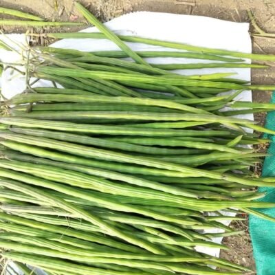 WhatsApp Image 2024-06-11 at 15.27.07_ea1de283 WhatsApp Image 2024-06-11 at 15.27.07_ea1de283